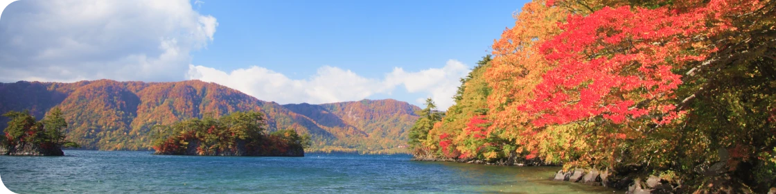 モデルコースを見る