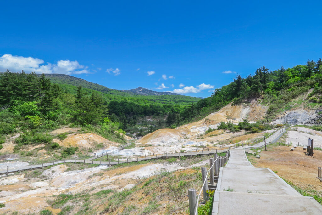 後生掛自然研究路