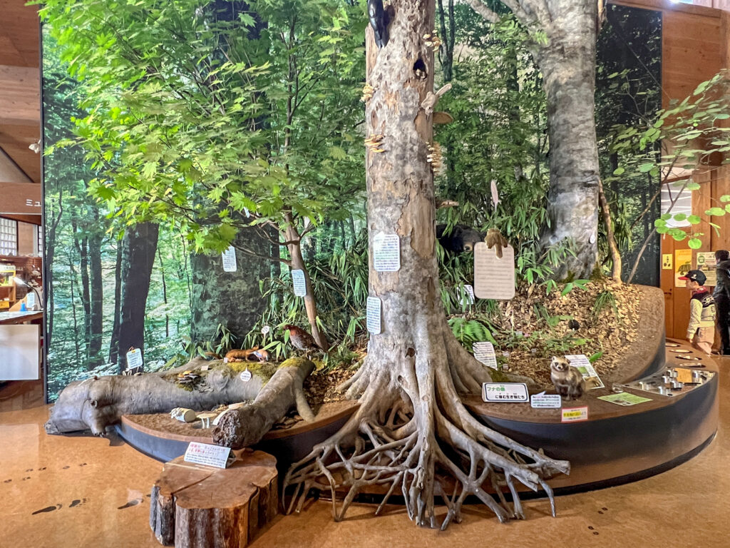 八幡平ビジターセンター